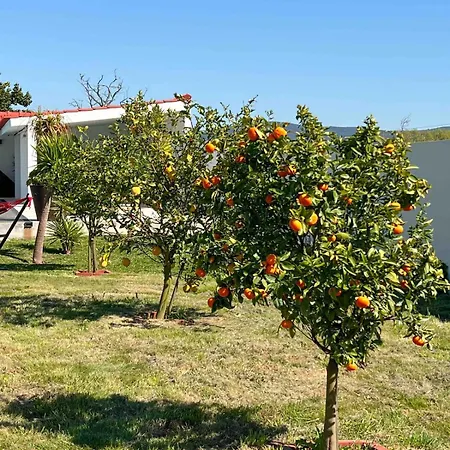 Da Costa - Sunset Poolhouse Willa Alvarães