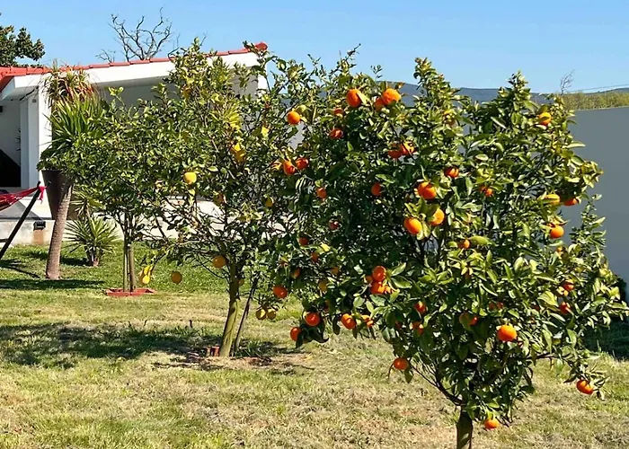 Da Costa - Sunset Poolhouse Villa Alvaraes